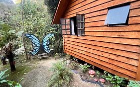 Chale Cerejeira - Chalet Village